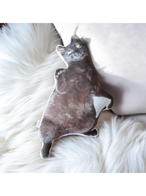 Egyedi cicás ajándékok