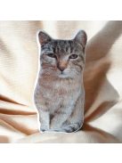 Egyedi cicás ajándékok