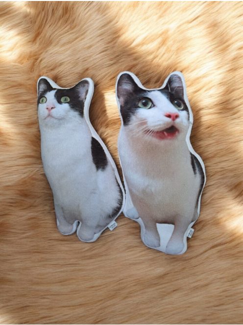 Egyedi cicás ajándékok