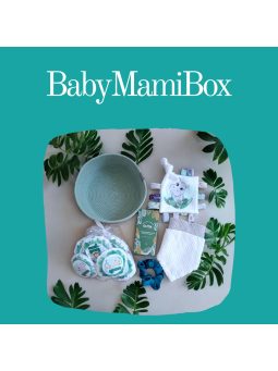 BabyMamiBox